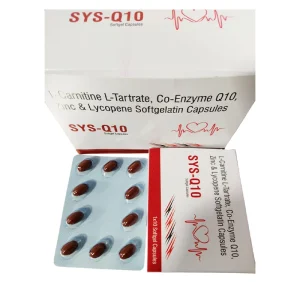 SYS-Q10